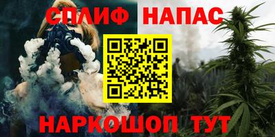 спиды Камышлов
