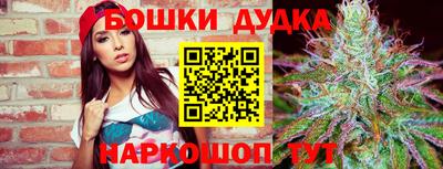 спиды Камышлов
